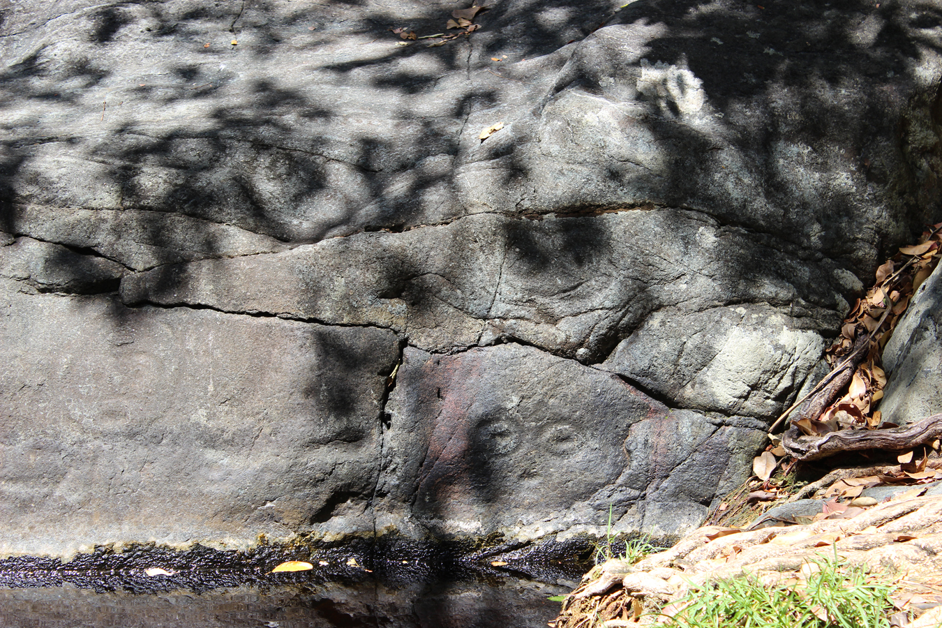 Virgin Islands National Park: Taino Petroglyphs | As They Are ...